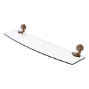 Venus Collection Glass Shelf with Dotted Accents