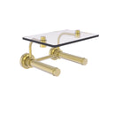 Dottingham Collection 2 Roll Toilet Paper Holder with Glass Shelf