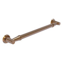 Modern Design Smooth Grab Bar