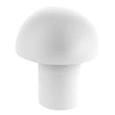 1 Inch Cabinet Knob