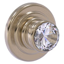 Carolina Crystal Retractable Wall Hook