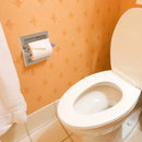 Carolina Porte-papier de toilette encastr