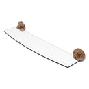 Regal Collection Glass Shelf