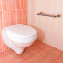 Traditional Style Smooth Grab Bar