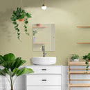 Frameless Rectangular Tilt Mirror with Beveled Edge